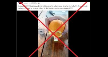 Stire din Actualitate : VIDEO: Nou trend pe TikTok cu testele antigen: fructul la care sunt pozitive! Avertismentul CNACAV