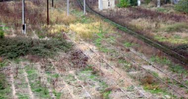 Trenurile vor putea circula, în portul Constanța, cu 100 de kilometri pe oră - 3