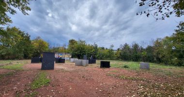 Nepăsare, lipsă de viziune, finanţare zero! Complexul Sportiv Triunghi, o ruină sufocată de bălării - 6