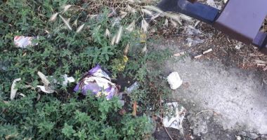 Cititorii ziarului „Cuget Liber” iau atitudine: „Ce fac autoritățile locale?” - 2