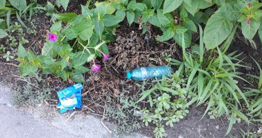 Troglodiții Constanței. Oazele de curățenie, pe cale de dispariție - 6