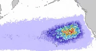 Stire din Actualitate : Statele Unite, lovite de 25 de milioane de tone de resturi de la tsunami-ul din Japonia