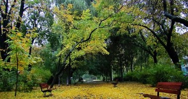 Stire din Social : Cum va fi vremea săptămâna aceasta, la Constanța