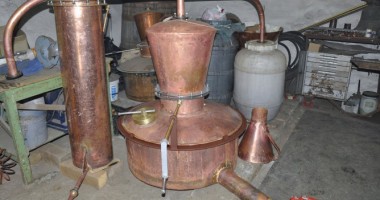 Stire din Actualitate : Român arestat în SUA pentru că făcea țuică în curtea casei