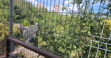 Dispare „jungla”, Tunelul Palas revine la viaţă! Lucrările de reabilitare ar putea începe în primăvară - 2