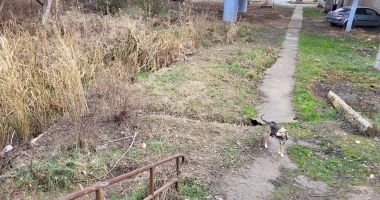 Fantome şi şobolani în loc de trenuri de marfă! Tunelul Palas, „bulgărele de aur” neexploatat - 5