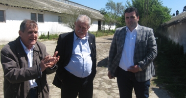 Tunsul oilor e mai scump decât prețul lânii - 5