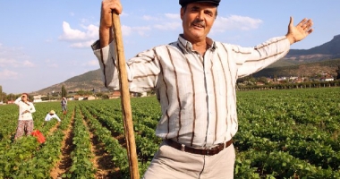 Stire din Economie : Turcii vor  să investească în agricultura românească