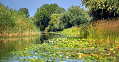 De ce ați alege să vă petreceți concediul în Delta Dunării - 2