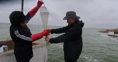 Preocupați de schimbările climatice, cercetătorii de la Constanța trag un semnal de alarmă - 3
