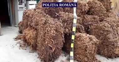 Stire din Eveniment : IGPR: Măsuri asigurătorii şi prejudicii recuperate de 1,2 miliarde lei în 2023. Tutunul – în topul produselor de contrabandă