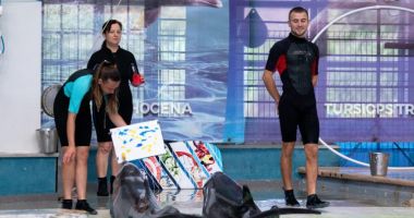 Stire din Social : Delfinii din Ucraina, spectacol impresionant alături de Ni-Ni și Chen-Chen