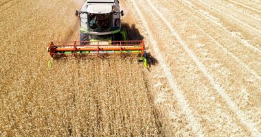 Stire din Actualitate : Ucraina a pierdut un sfert din terenurile sale cultivabile din cauza ocupaţiei ruse