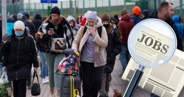 Stire din Social : Constanța, în topul județelor cu cei mai mulți ucraineni angajați în țară