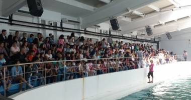 Galerie foto. Surprize pentru 600 de copii, din partea UDTTMR - 2