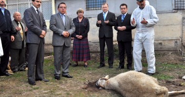UDTTMR a sărbătorit a doua zi de Bayram la sediul uniunii - 5
