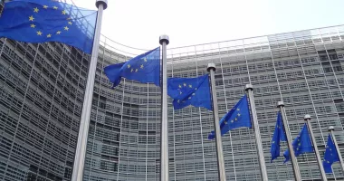 UE actualizează legislația privind votul la alegerile locale pentru cetățenii rezidenți în străinătate