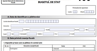 Ultima zi pentru depunerea declarației 100