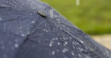 PROGNOZA METEO pentru următoarele două săptămâni. Când scăpăm de ploi și vijelii