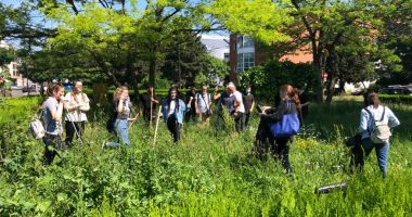 Pentru un oraș curat! Acțiune voluntară de ecologizare la Universitatea Maritimă Constanța - 3