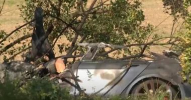Stire din Actualitate : Un bărbat și doi copii au murit arși de vii într-o Tesla care a luat foc