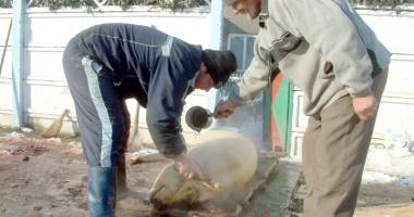 Stire din Social : Unde puteți să verificați carnea de porc, de sărbători