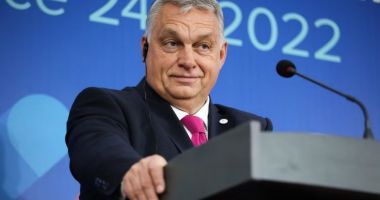 Ungaria va ratifica aderarea Finlandei ÅŸi Suediei la NATO la Ã®nceputul anului viitor