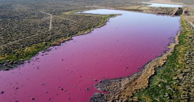 Stire din Actualitate : Un lac din Patagonia s-a făcut roz peste noapte