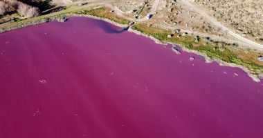 Un lac din Patagonia s-a făcut roz peste noapte - 2