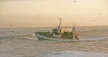 Stire din Economie : Un marinar a murit și alți patru  au dispărut după ce o navă s-a scufundat