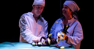 Stire din Cultură-Educație : Sâmbătă, un nou spectacol pentru copii: "Degețica"