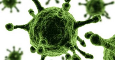 Stire din Diverse : Un virus care a omorât milioane de oameni, redescoperit după 300 de ani