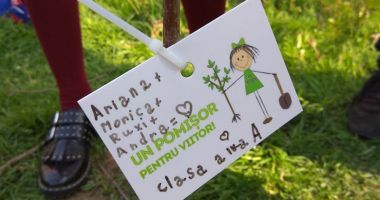 "Un pomișor pentru viitor". Livezi de pomi fructiferi în școli, cu ajutorul cora România - 2