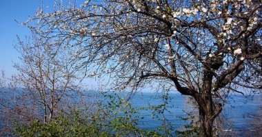 Stire din Social : Cum va fi vremea săptămâna viitoare, la Constanța