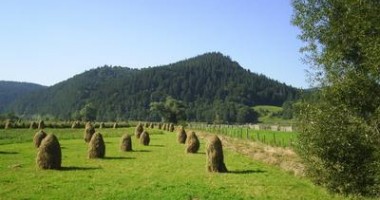 Stire din Economie : Sute de milioane de euro disponibile pentru investiții în mediul rural