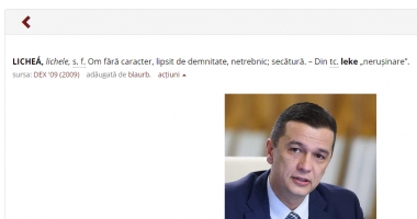 Stire din Social : Protest inedit al dexonline.ro / "Lichea: Om fără caracter, netrebnic, secătură"