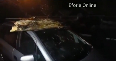 Stire din Social : VIDEO. VIJELIA A FĂCUT RAVAGII, LA CONSTANȚA / COPAC CĂZUT PESTE MAȘINĂ, ÎN EFORIE NORD