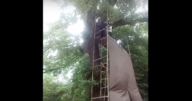 Stire din Eveniment : VIDEO. MOMENTUL ÎN CARE UN COPIL A CĂZUT DE LA 8 METRI, DUPĂ CE S-A RUPT TIROLIANA