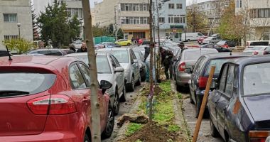 Sute de arbori, plantați la Constanța!