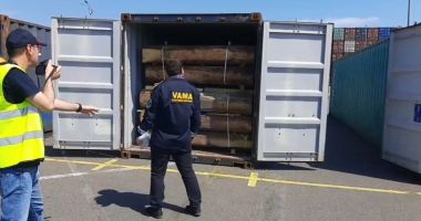 EXPORT DE LEMNE, ÎN ANCHETĂ! Șapte containere, oprite din drumul spre China! - 2