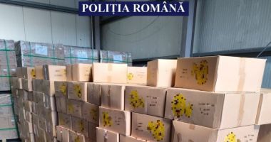 Stire din Eveniment : PUNGI DIN PLASTIC DE PESTE JUMĂTATE DE MILION DE LEI RIDICATE DE POLIȚIȘTI