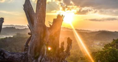 Stire din Actualitate : RECORD ISTORIC ÎN FRANŢA! Situaţia devine îngrijorătoare, fiind iarnă