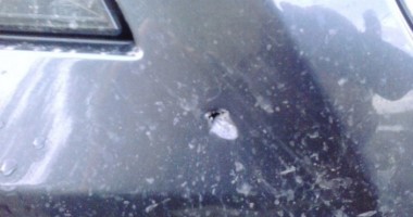 Galerie FOTO. Percheziții de amploare la Constanța / Fostul deputat Bivolaru, reținut pentru spălare de bani. Prejudiciu de peste un milion de lei - 4