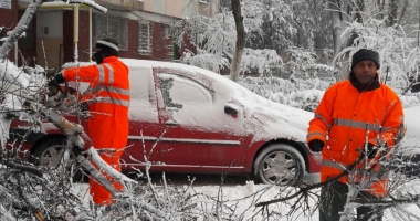 COD ROȘU DE VISCOL LA CONSTANȚA! Se lucrează la ridicarea stâlpilor căzuți pe străzile din Constanța - 2