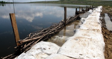 Urgia de pe Dunăre a ajuns în județul Constanța - 6