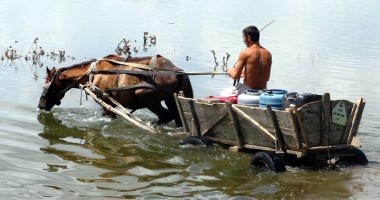 Urgia de pe Dunăre a ajuns în județul Constanța - 14