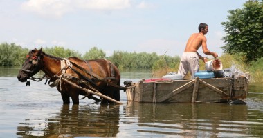Urgia de pe Dunăre a ajuns în județul Constanța - 15
