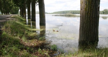 Dunărea face prăpăd în județul Constanța - 2