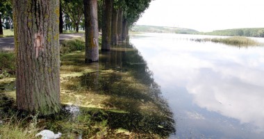Urgia de pe Dunăre a ajuns în județul Constanța - 8