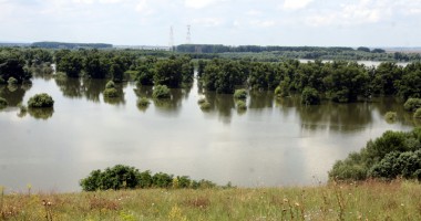 Urgia de pe Dunăre a ajuns în județul Constanța - 11